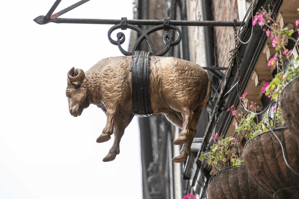 The Golden Fleece