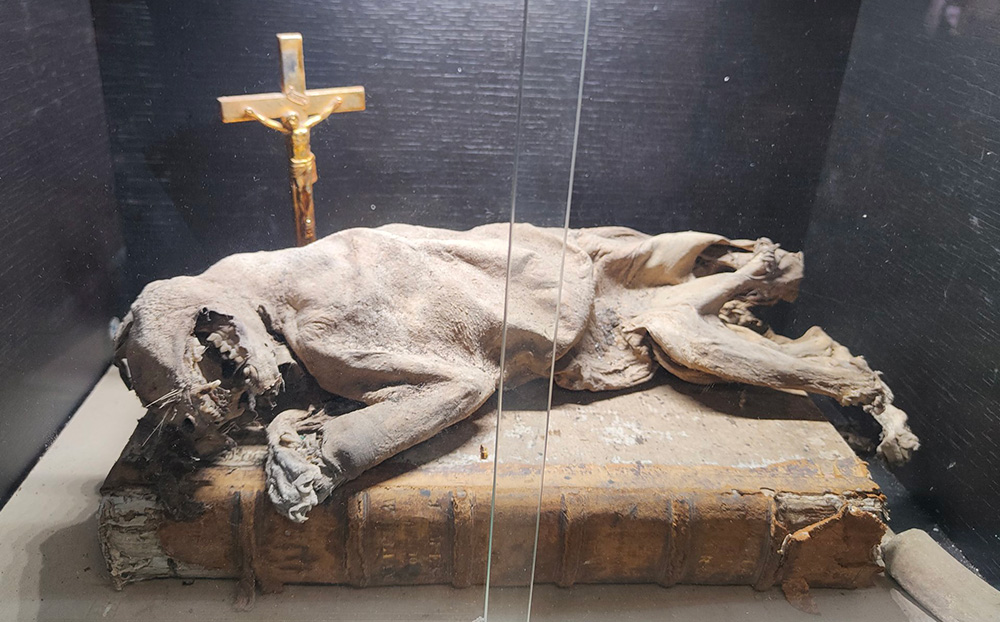 Mummified Cat at the Ancient Ram Inn